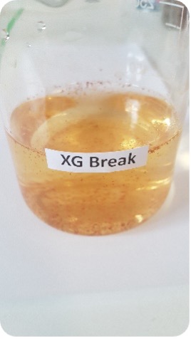 XG-Break